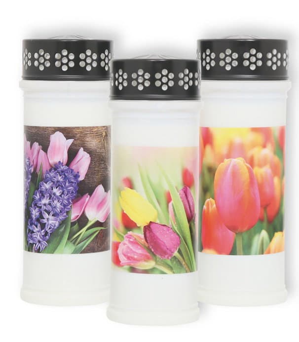 Plamty® Lui Pia Tulpe