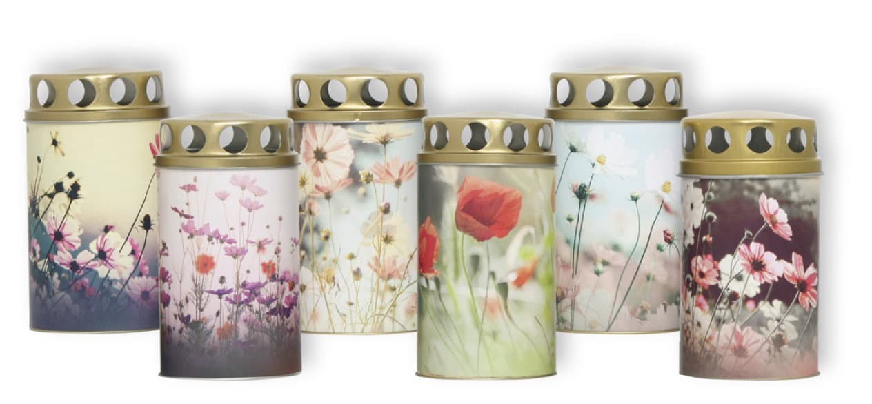 Plamty® Sani rose