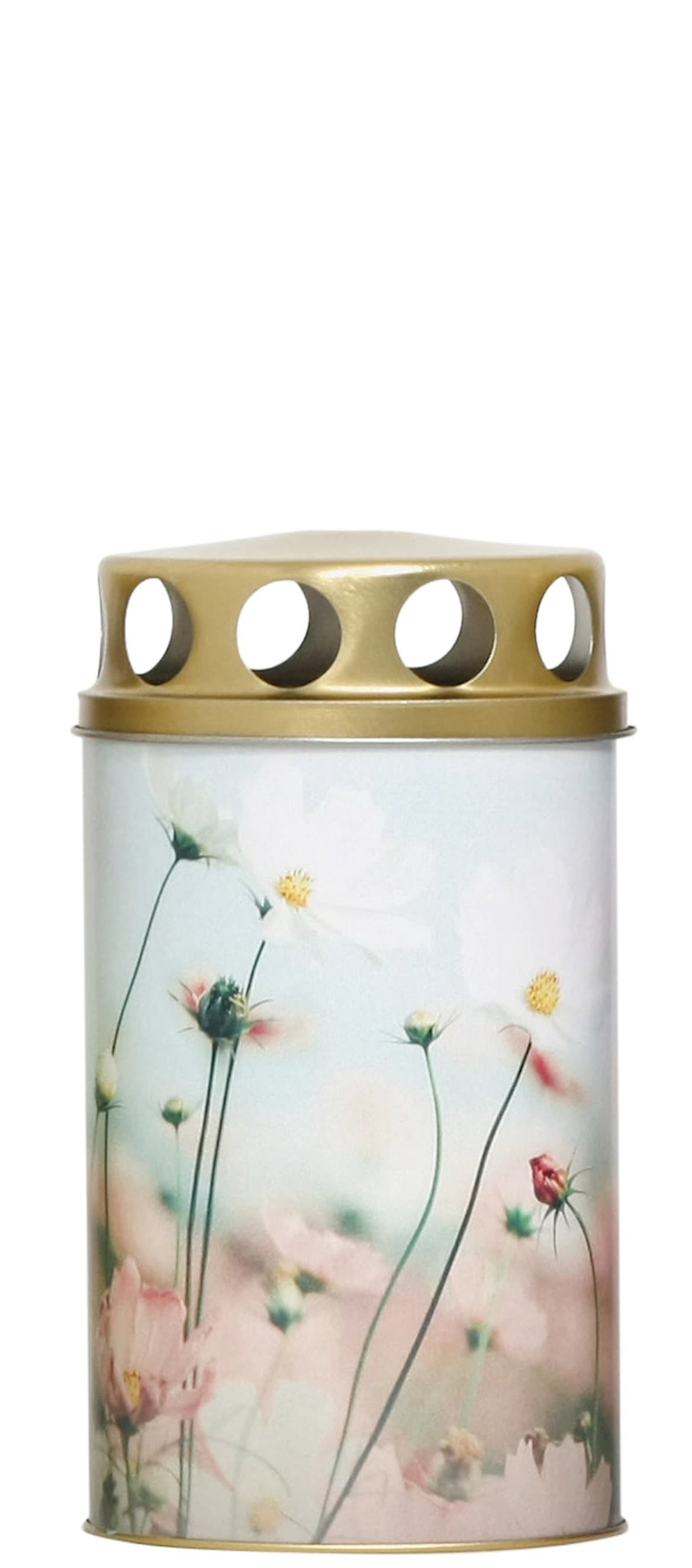 Plamty® Sani rose