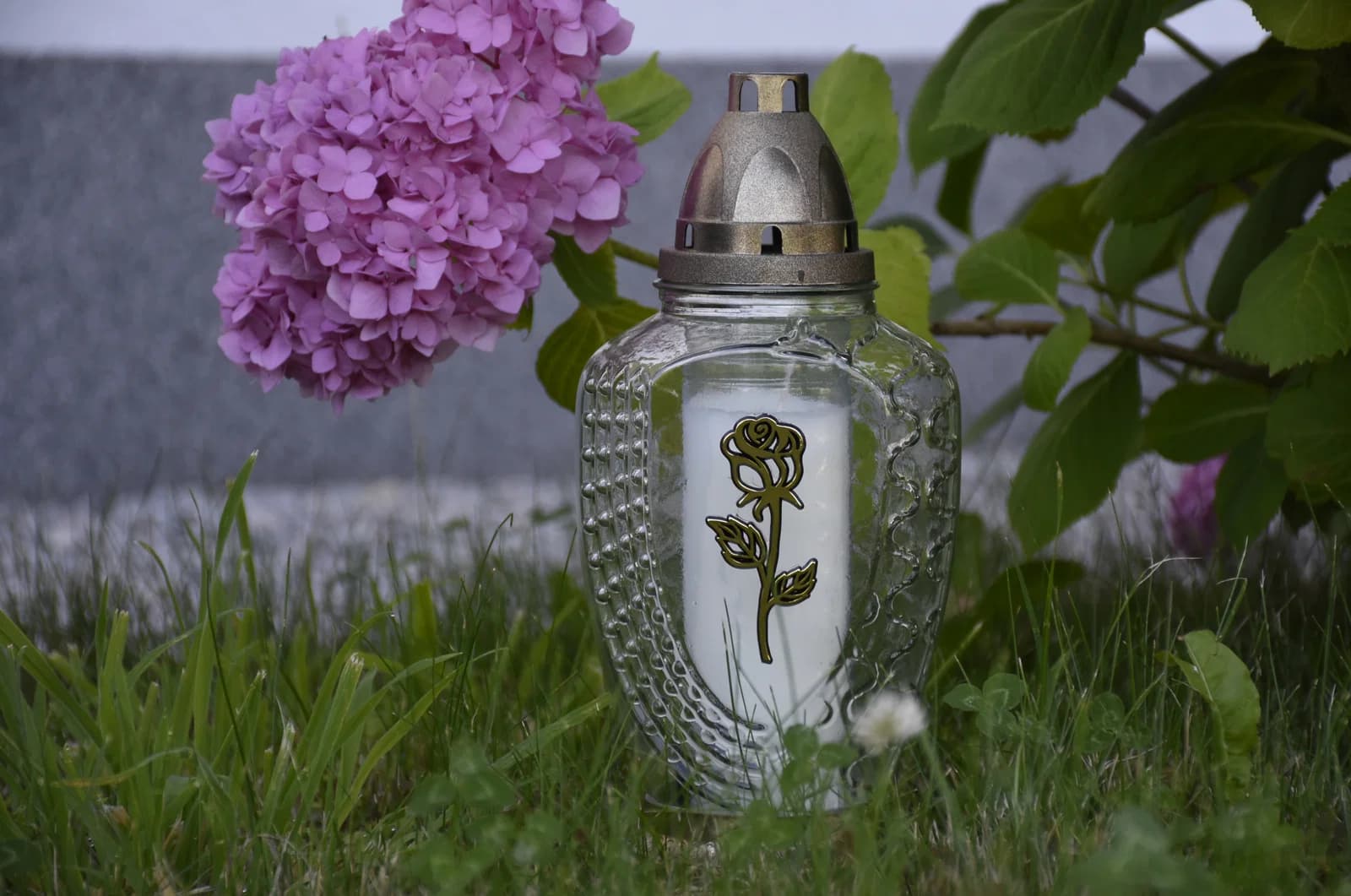 Paxlaura glass lantern with rose
