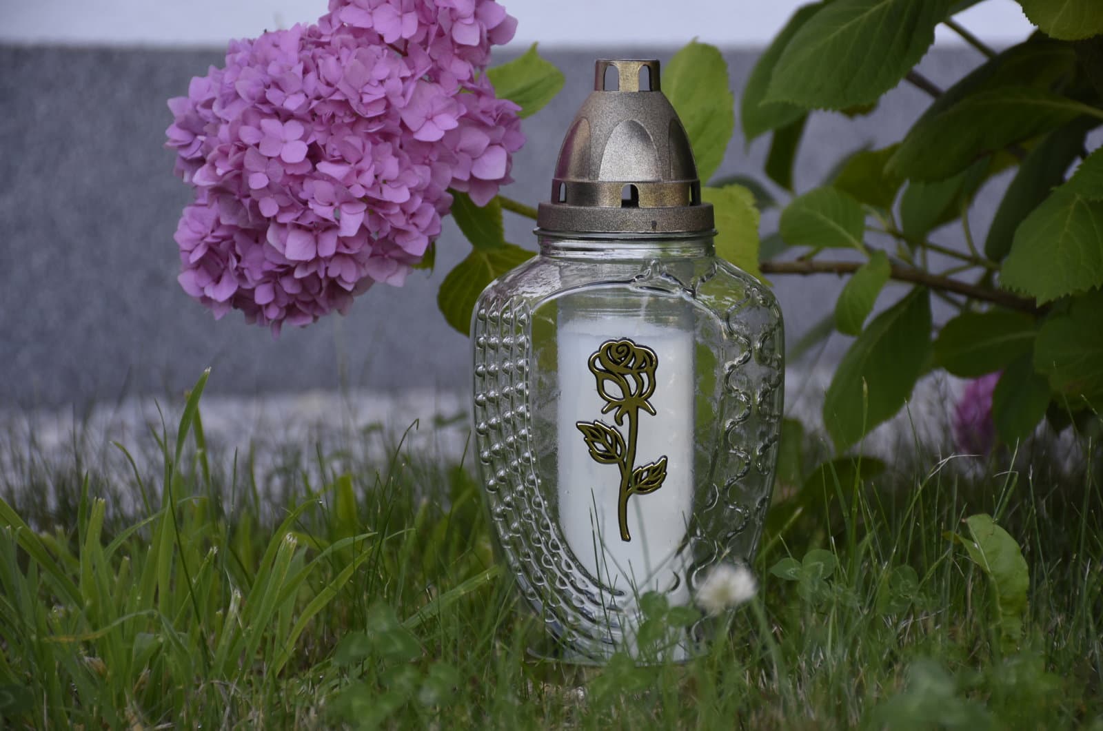Paxlaura glass lantern with rose