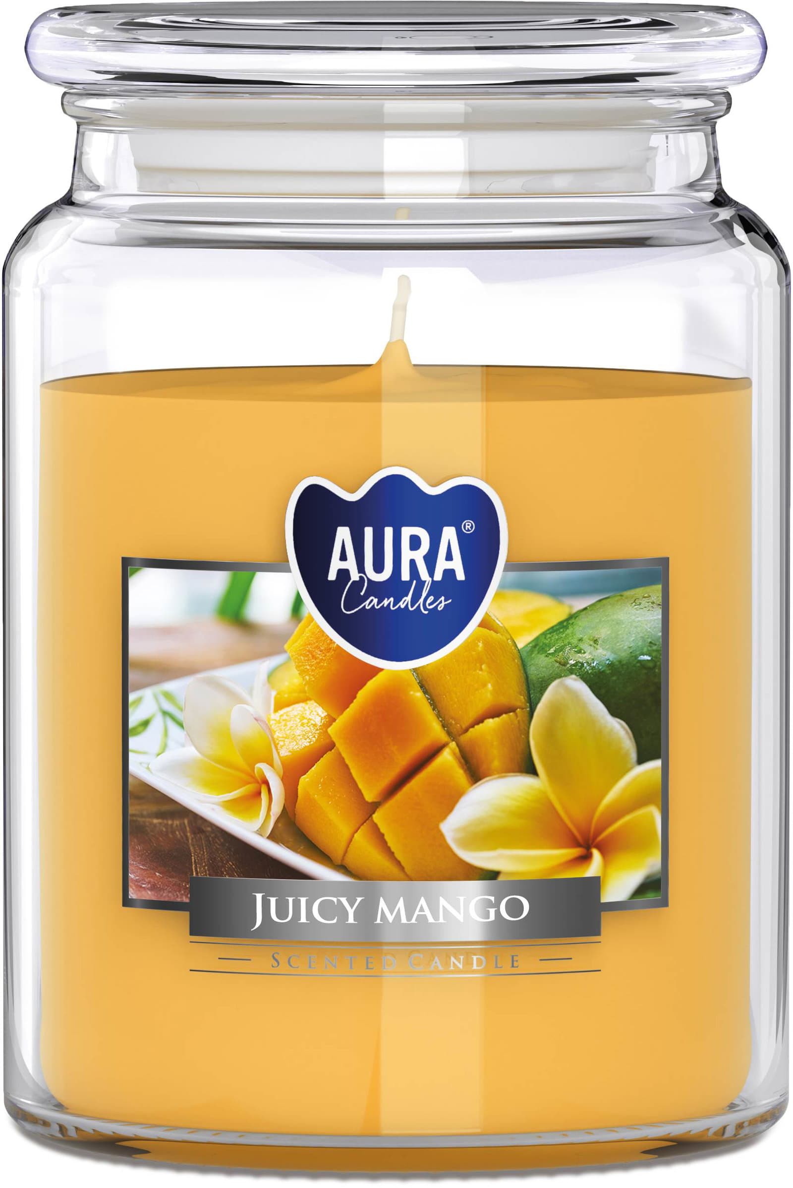 Duftkerze Dell140 Mango