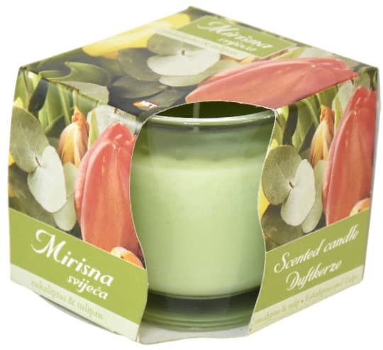 Duftkerze Rpzip Eukaliptus & Tulip